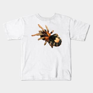 Cyriocosmus elegans Tarantula Kids T-Shirt